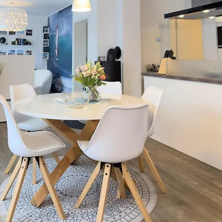 Daire Sterntaucher 04 *